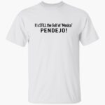 its-still-the-gulf-of-mexico-pendejo-shirt-1_pbnpzl.jpg