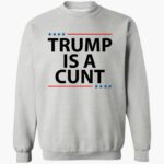 trump-is-a-cunt-shirt-1_bsth3y.jpg