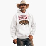 California Is Gay Shirt